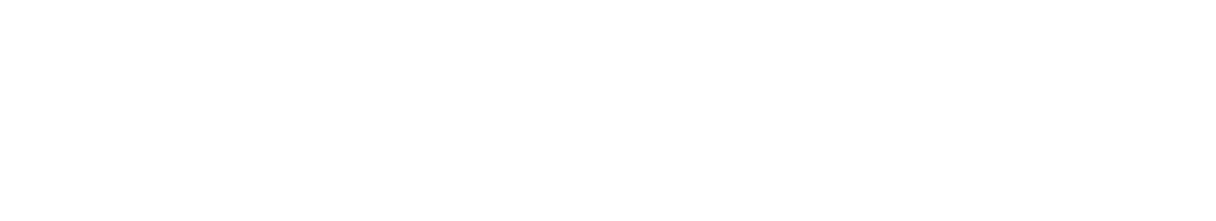 Steve Little logo