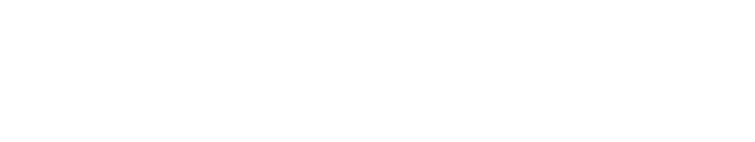 Black Tiger logo