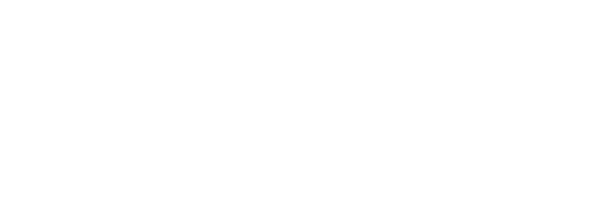 Dasha logo