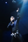Morrissey