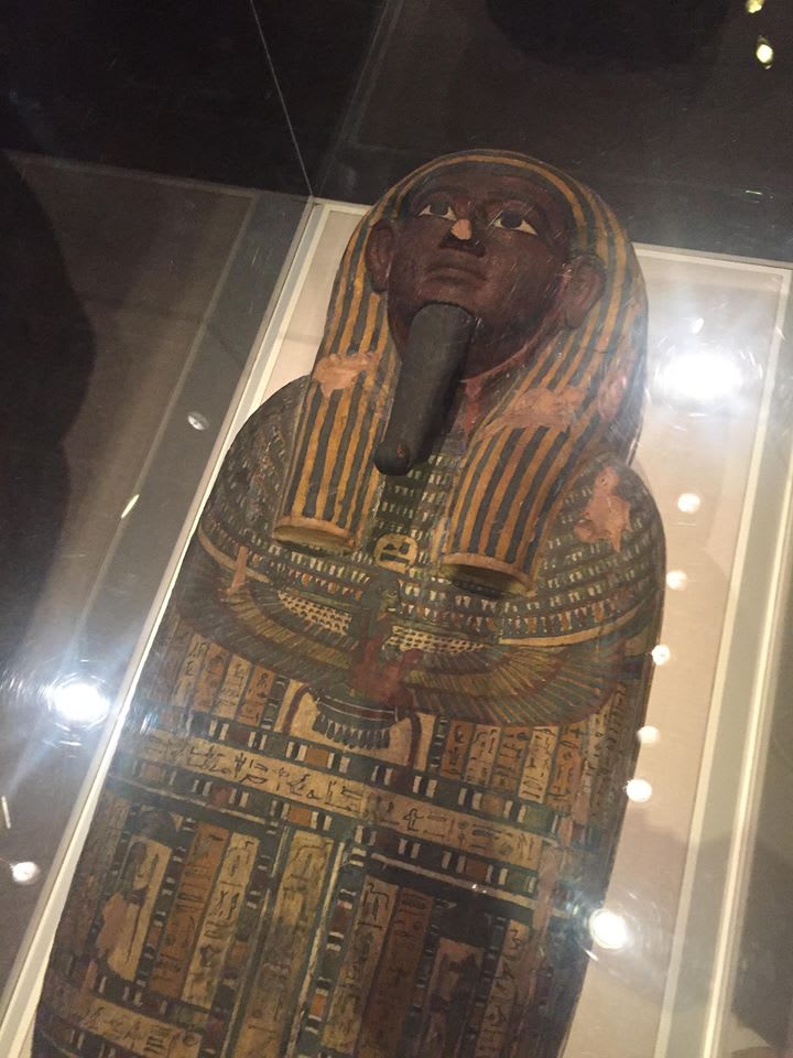 An Egyptian sarcophagus in a glass case at the San Antonio Museum of Art