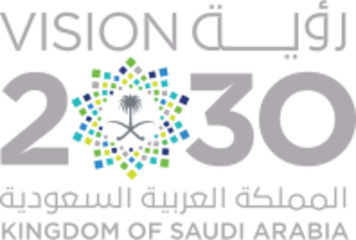 Vision 2030