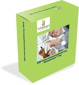 Company optimization basis