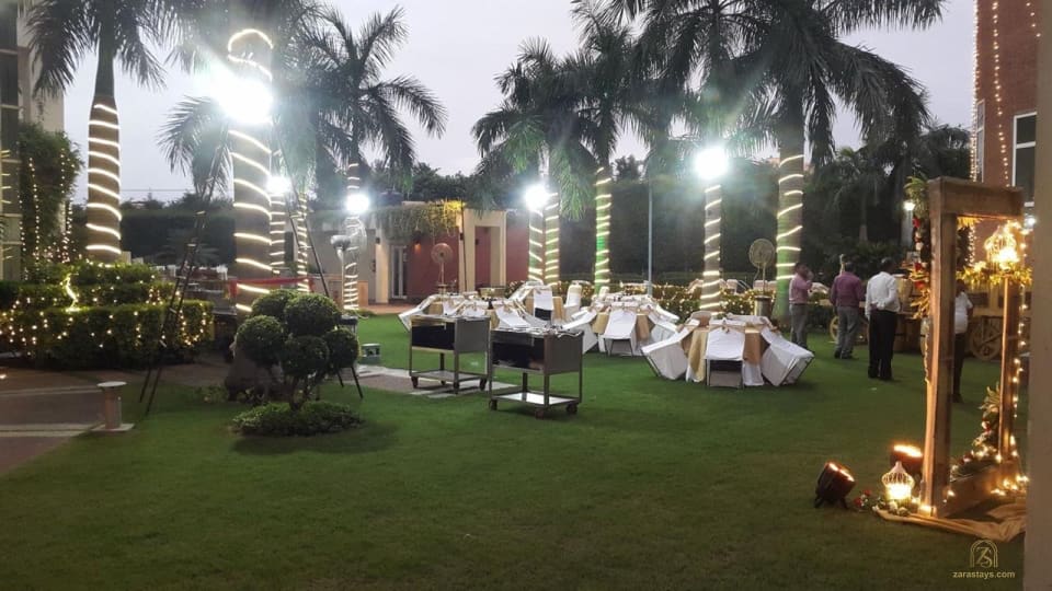 Garden seating beneath palms at night
