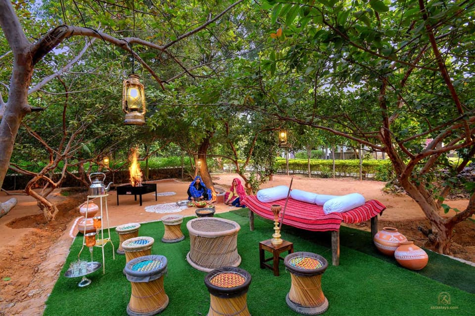Outdoor seating beneath trees at The Tigress Ranthambore