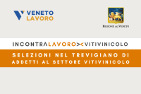 INCONTRALAVORO VITIVINICOLO TREVISO