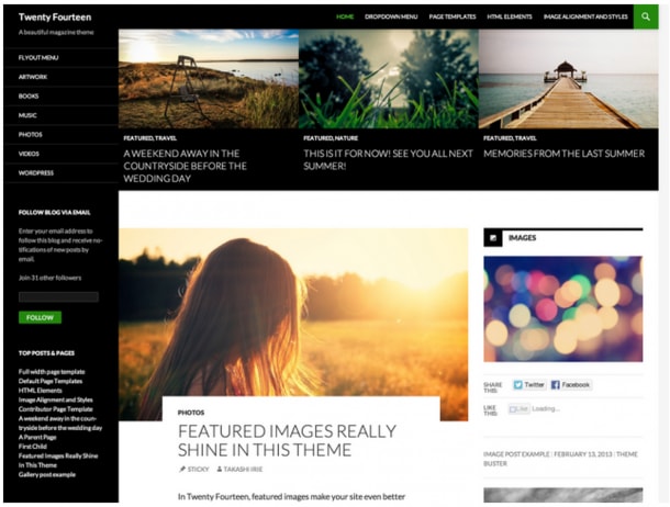 Wordpress theme 2014