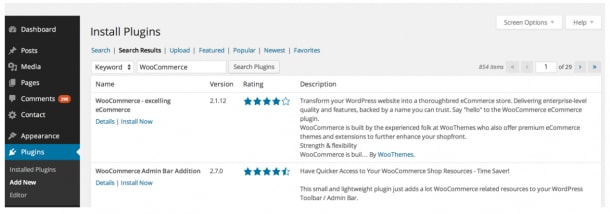Install WordPress plugins