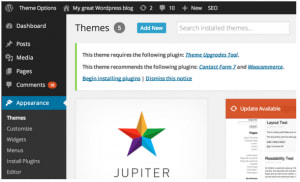 Install WordPress themes