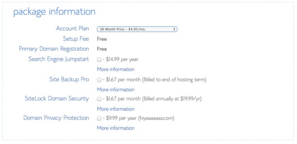 Bluehost package