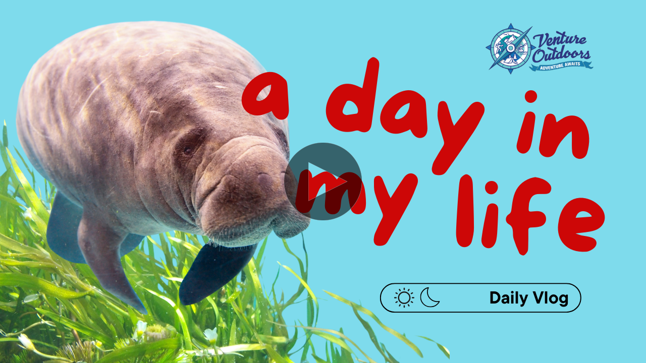 A day in my life