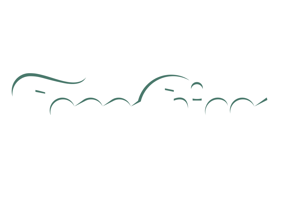 TopoChico logo