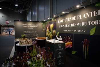 Se våre nøkkel-ferdige stand