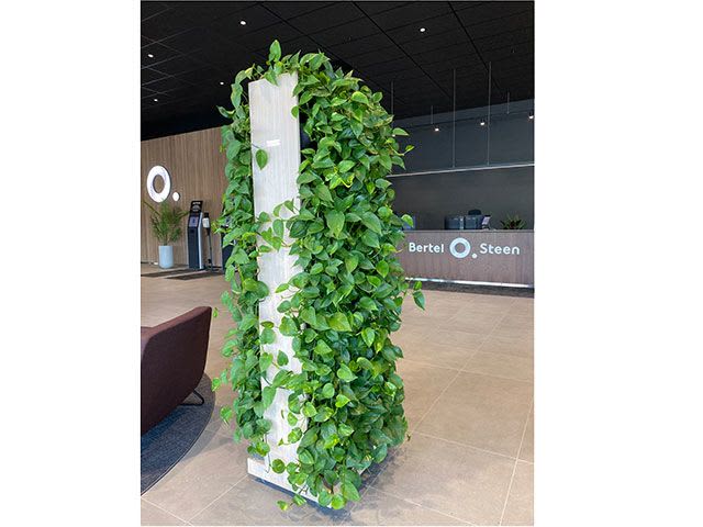 Slim Divider, lys eik