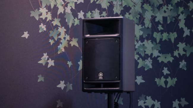 250w aktive høyttalere, 2stk