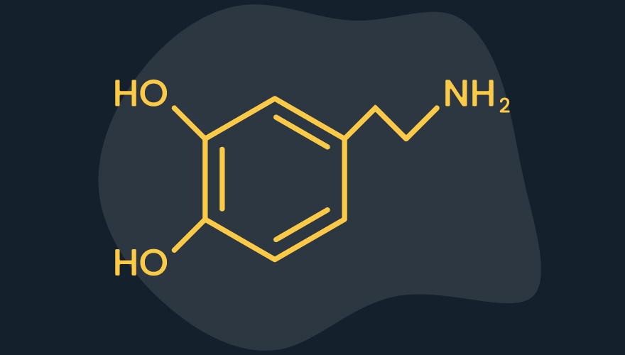 Dopamine Detox — Here's how to do it and why you should at veonr blog by shubham kushwah Dopamine Detox — Here's how to do it and why you should at veonr blog by shubham kushwah