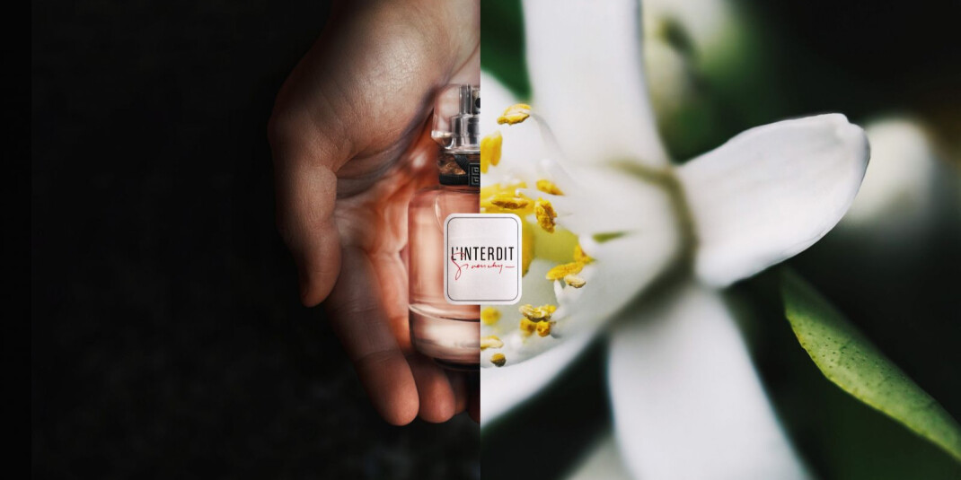 Cover image for 5 Floral Fragrances for the End of Summer