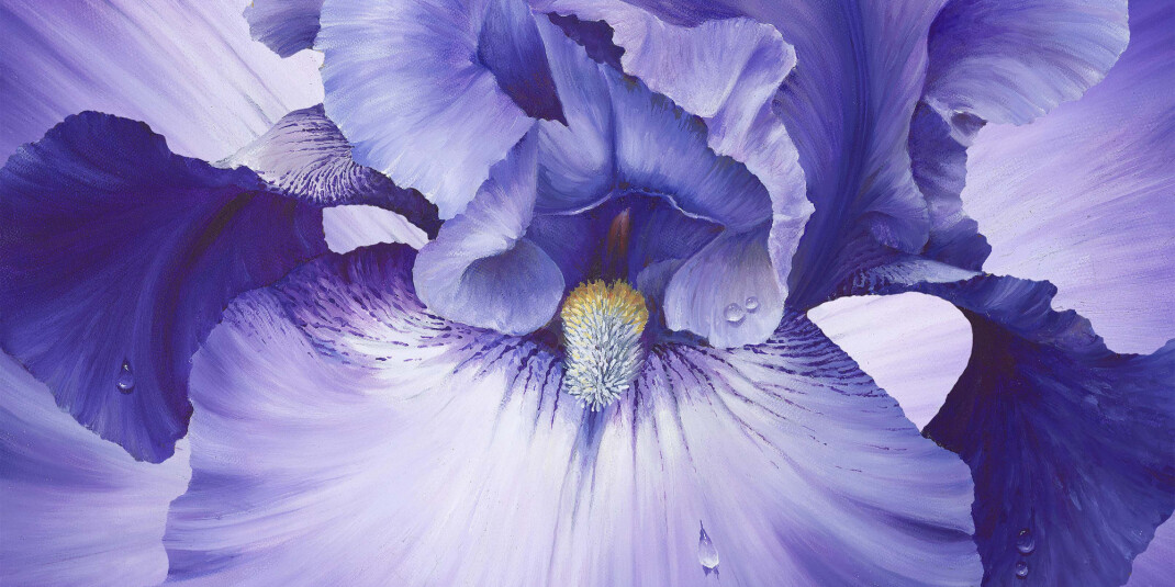 Cover image for Top 7 fragrances with iris note