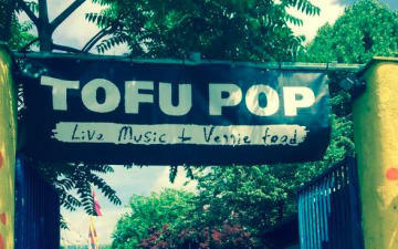 TOFU Pop Festival im Underground Cologne