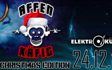 Affenkäfig X-Mas Rave in der Elektroküche