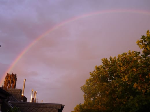 Veedelabend: Das Agnesviertel
