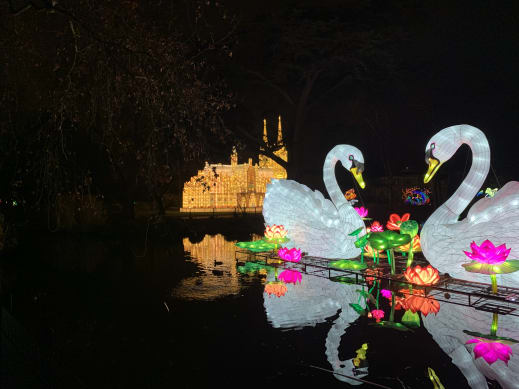 China Light-Festival im Kölner Zoo bis zum 19.01.2020