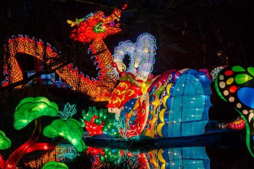 China Light Festival im Kölner Zoo am 14.01.2019