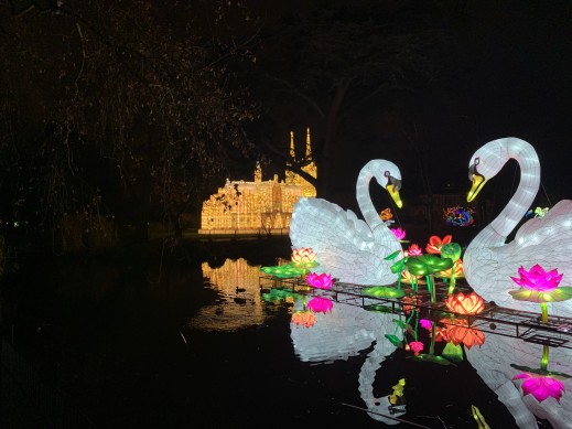 China Light-Festival im Kölner Zoo bis zum 19.01.2020