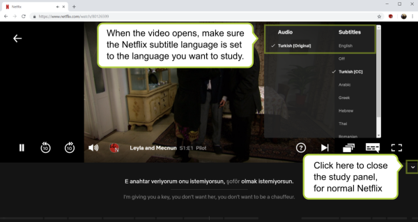 how to learn a foreign language on netflix