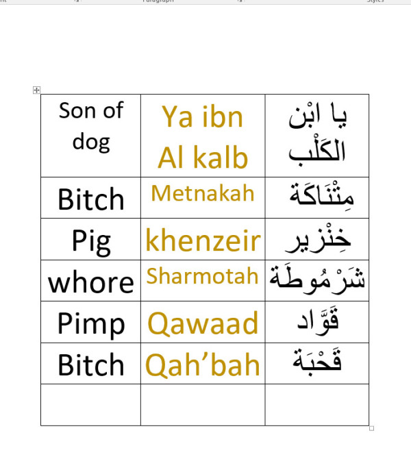 Swear Words In Arabic To English