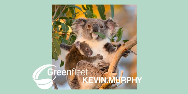 GREENFLEET X KEVIN.MURPHY