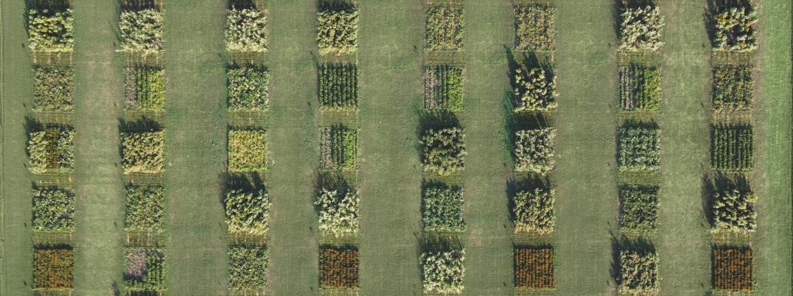 Regenerativt jordbruk – gård sett ovenfra