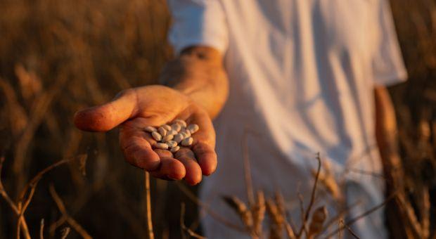 Regenerativt jordbruk – frø