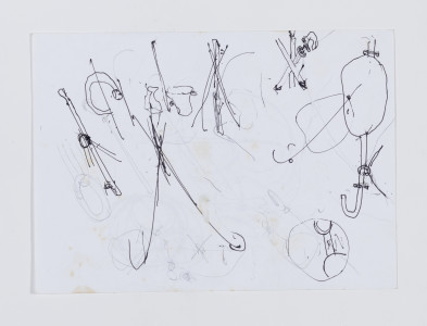 Untitled, from the series A Bela e a Fera