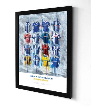 Brighton And Hove Albion Shirts - A Seagulls Collection