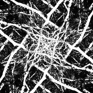 Machine Organic #20