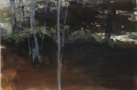 coppice