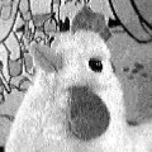 Coin-Op Chicken #2