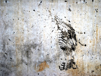 footprint