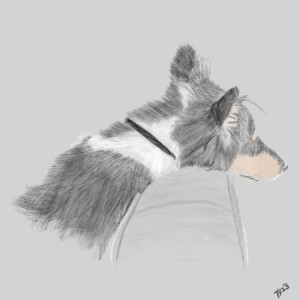 Ned