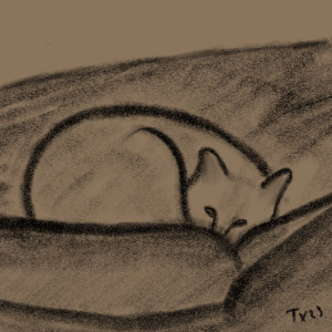 The Luigi Sleeps Tonight 