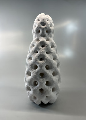 RADIOZOA XIV