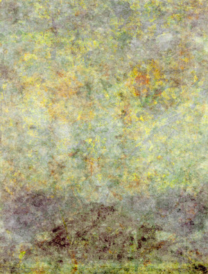 Venice Boardwalk #01