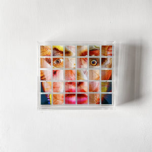 FANTASTIC PORTRAIT N° 9 | BOXBLOCK SET