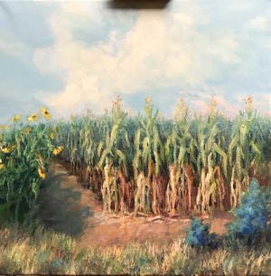 Lockhart Cornfield 