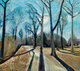 Nethermead Winter Sun