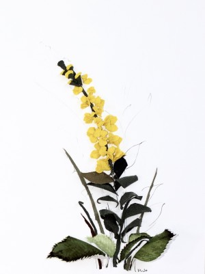 Snapdragon