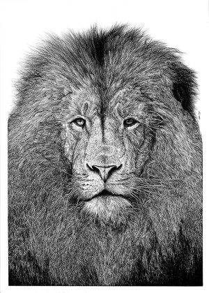 León