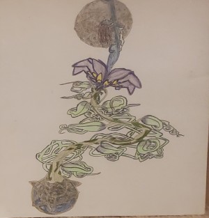 THE FLOWER OF LIFE