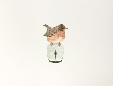 Bird on a Mouse